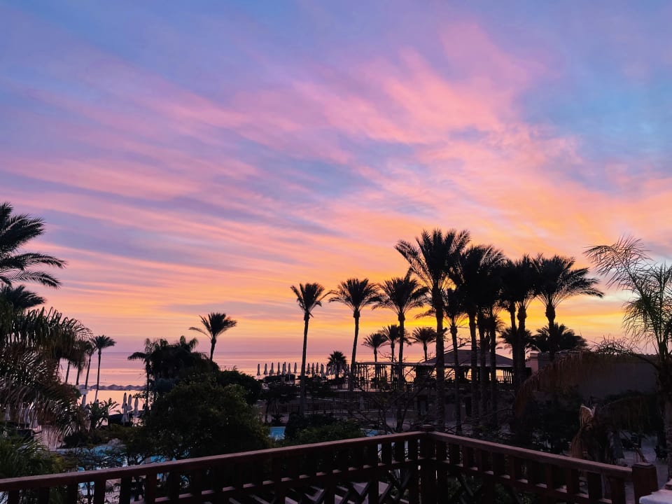 Zimmer Makadi Spa - Adults only