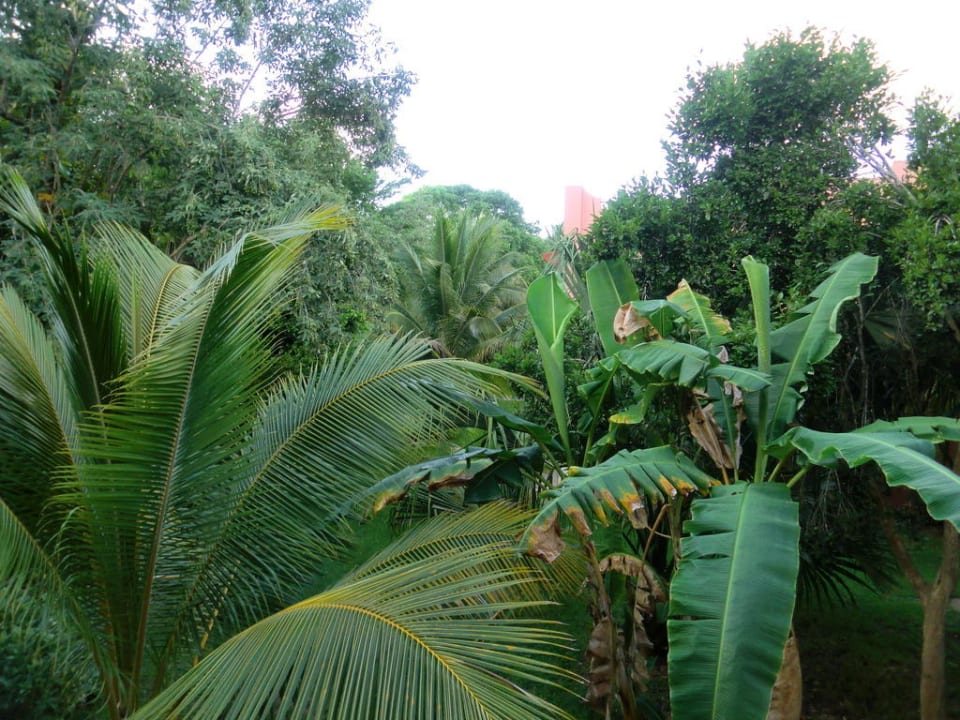 Ausblick vom Balkon Hotel Riu Tequila