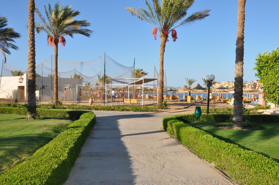 Volleyballfeld  Desert Rose