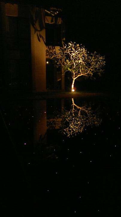 Der Pool bei Nacht  Hotel Mandara Resort