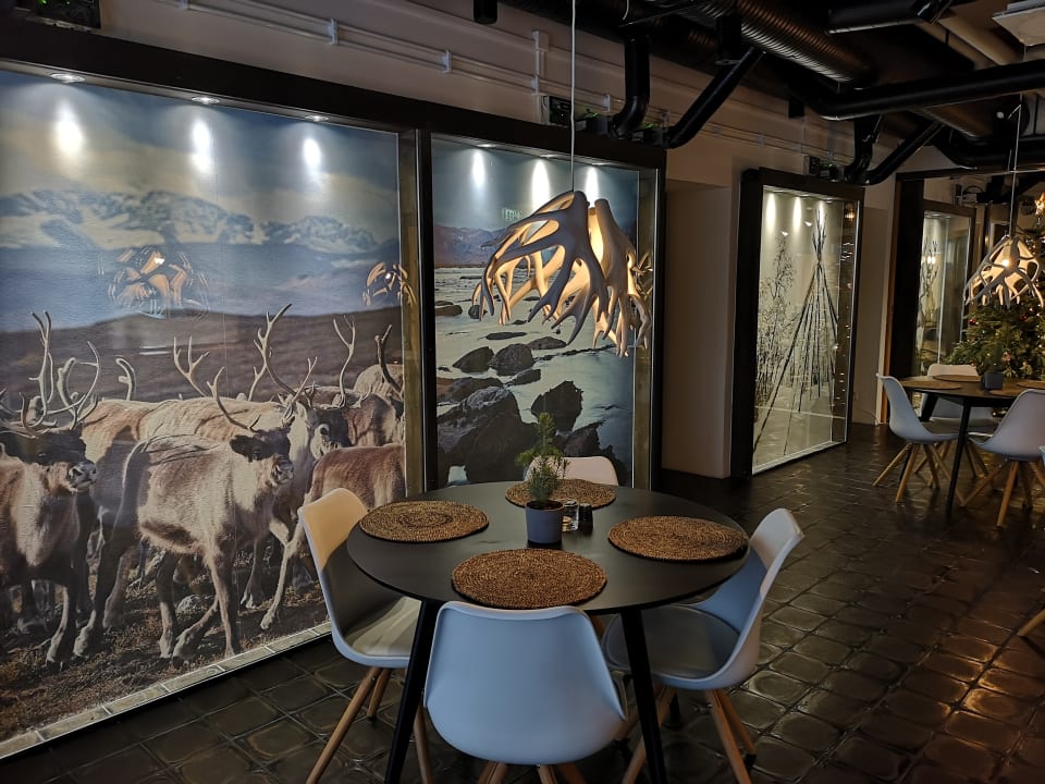 Sonstiges Máttaráhkká Northern Lights Lodge