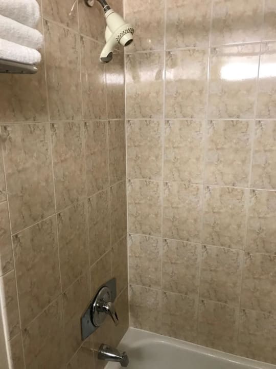 Zimmer Best Western Rutgers University Hotel