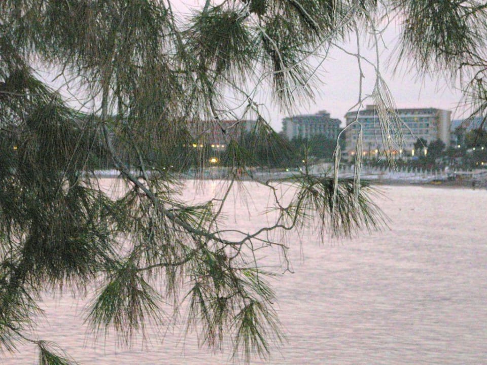 Bucht Gardenia Hotel