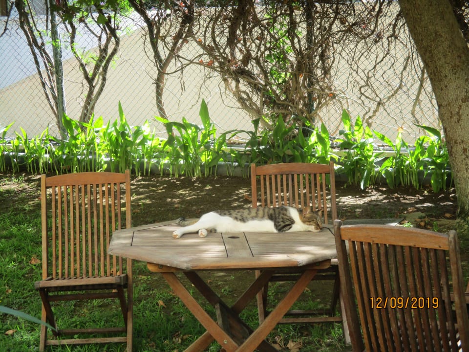 Sonstiges Le Jardin Resort