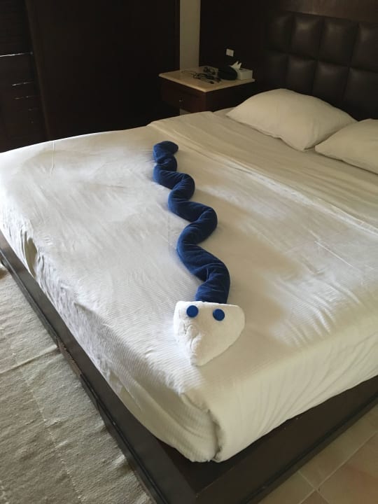 Zum Glück gabs nur Schlangen im Zimmer Pickalbatros Alf Leila Wa Leila Resort - Neverland Hurghada