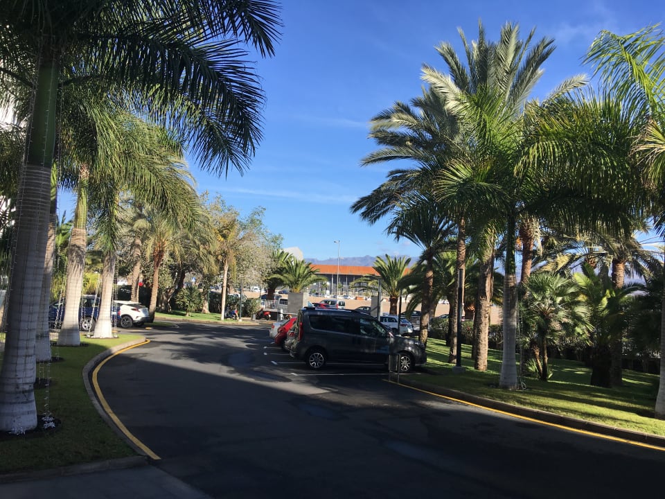 Gartenanlage Hotel Riu Palace Meloneras