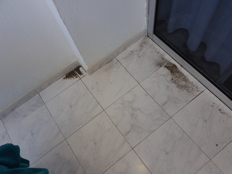 Zimmer Hotel Europalace