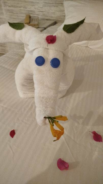 Zimmer Mövenpick Waterpark Resort & Spa Soma Bay