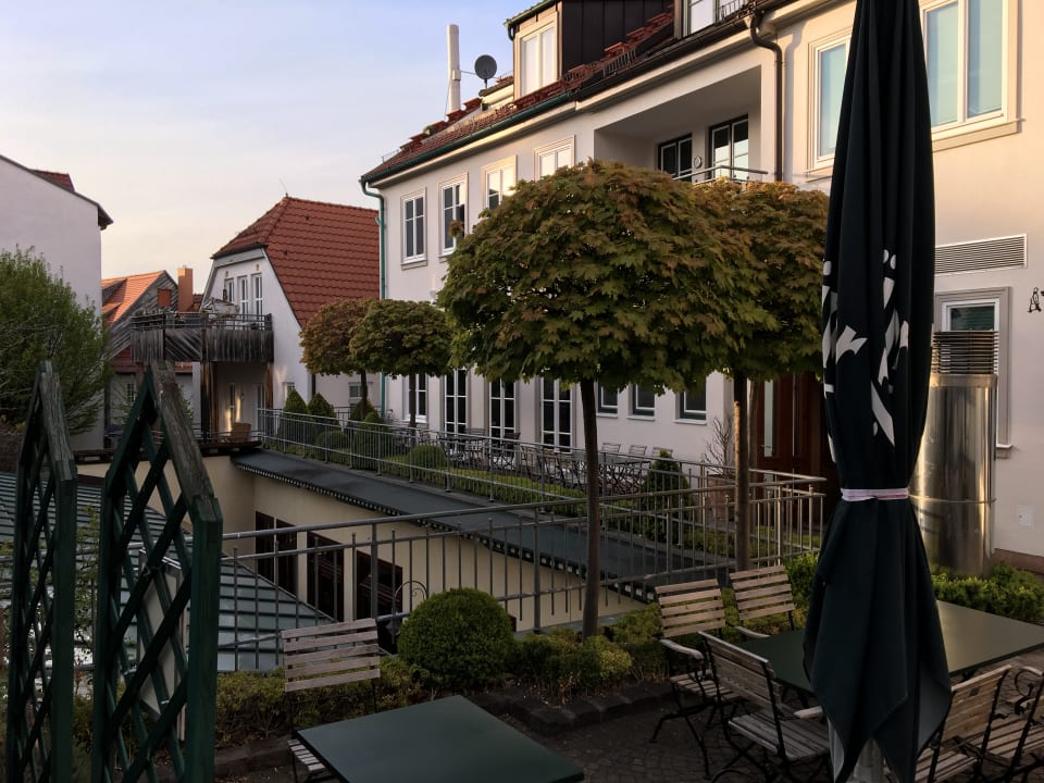 Ausblick Hotel Alma Am Anger