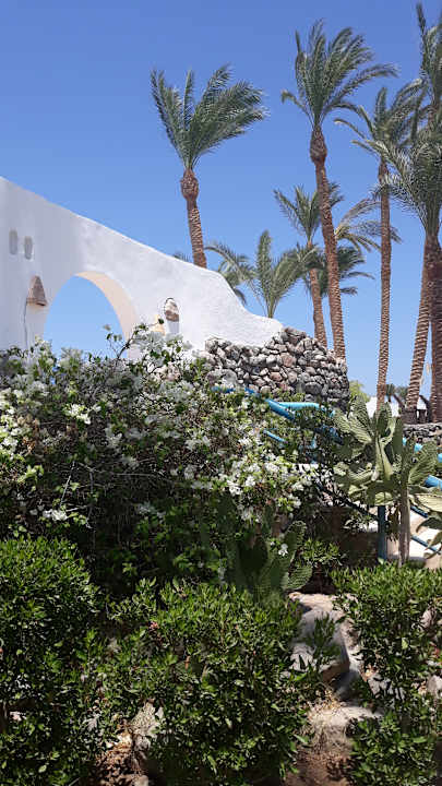Garten Shams Safaga Resort