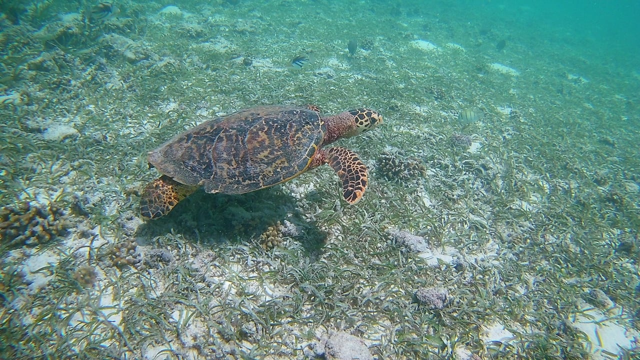 Sport & Freizeit Adaaran Select Hudhuran Fushi - Premium All Inclusive