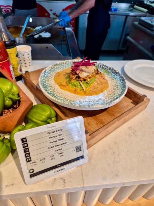 Gastro Seashell Vega