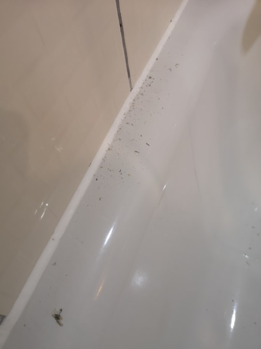 Zimmer Starlight Resort Hotel