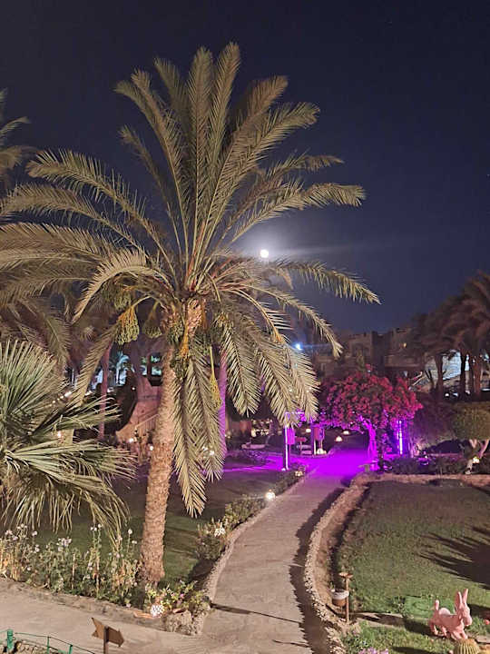 Strand Utopia Beach Club