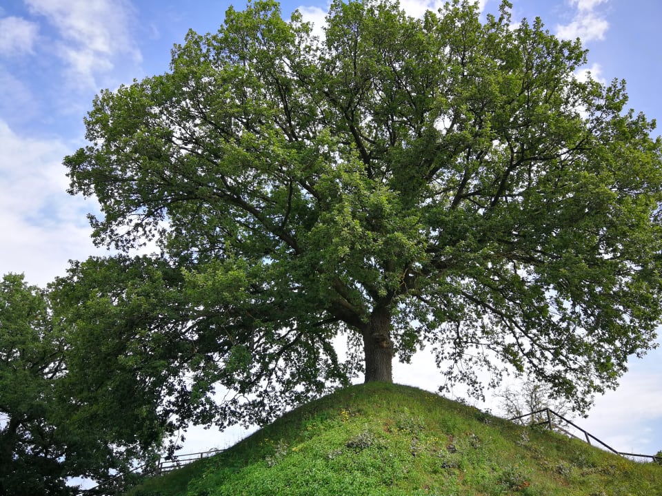 Gartenanlage JUFA Hotel Festung Rosenberg Kronach