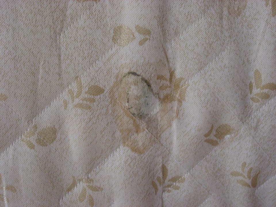 Schimmelflecken Vantaris Palace