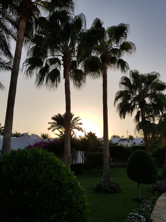Gartenanlage Sharm Club Beach Resort