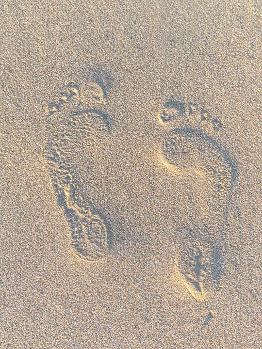 Außenansicht Hotel Defne Garden