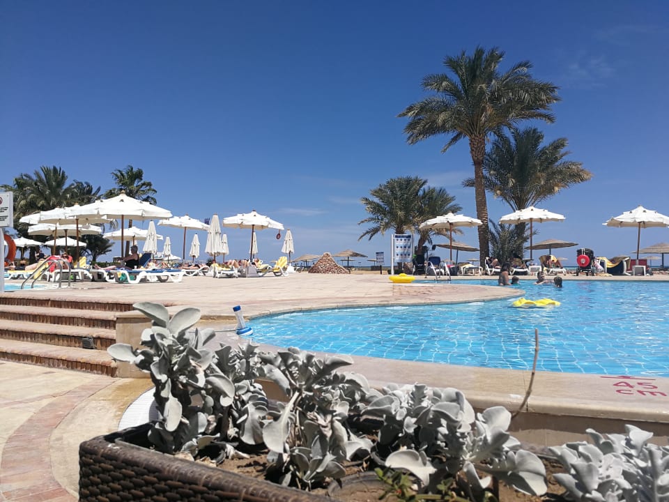 Pool Mövenpick Resort & Spa El Gouna