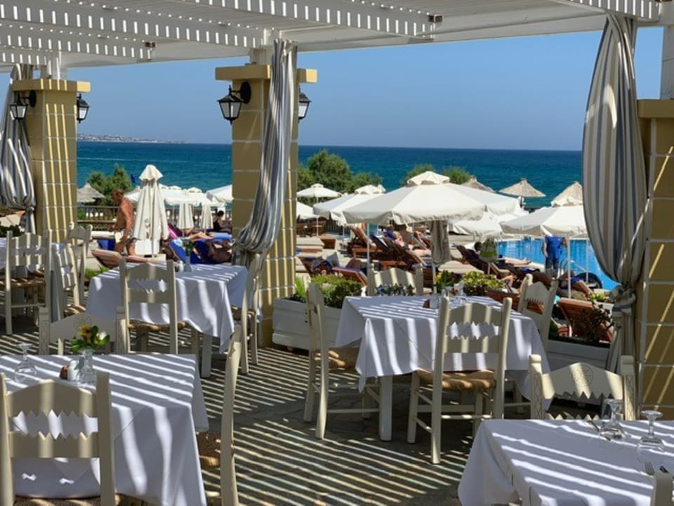 Gastro Alexander Beach Hotel & Village Resort