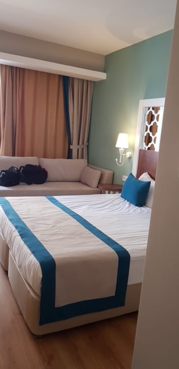 Zimmer Seashell Vega