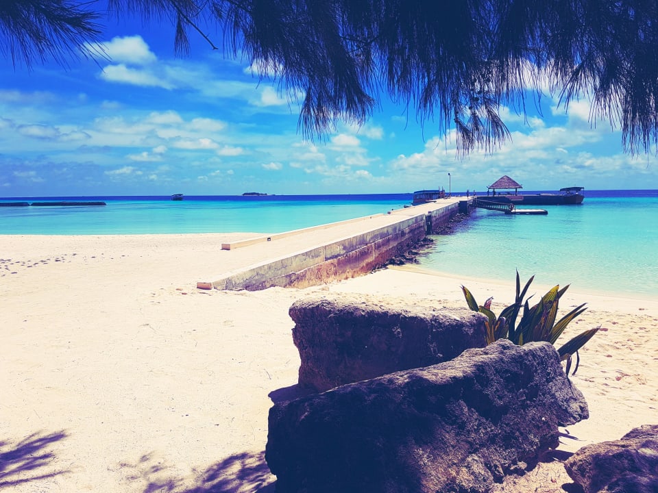 Strand  Summer Island Maldives