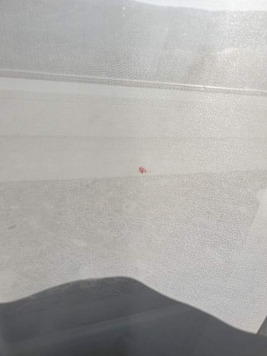 Zimmer AHORN Hotel Am Fichtelberg