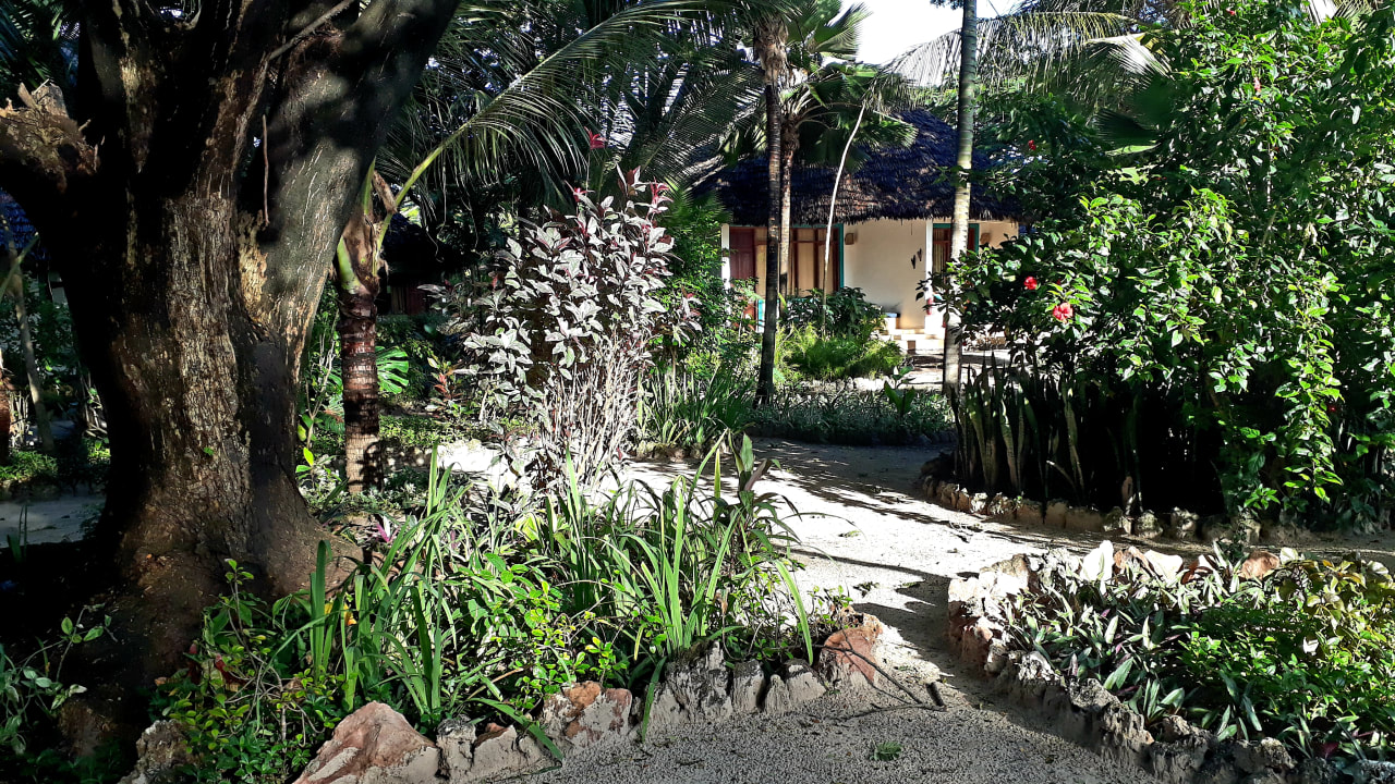 Gartenanlage Spice Island Hotel & Resort