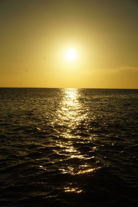 Ausblick Hotel Viva Dominicus Beach by Wyndham - All Inclusive Resort