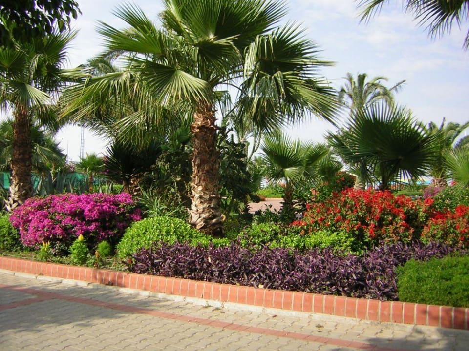 Garten-Anlage zum Strand Gardenia Hotel