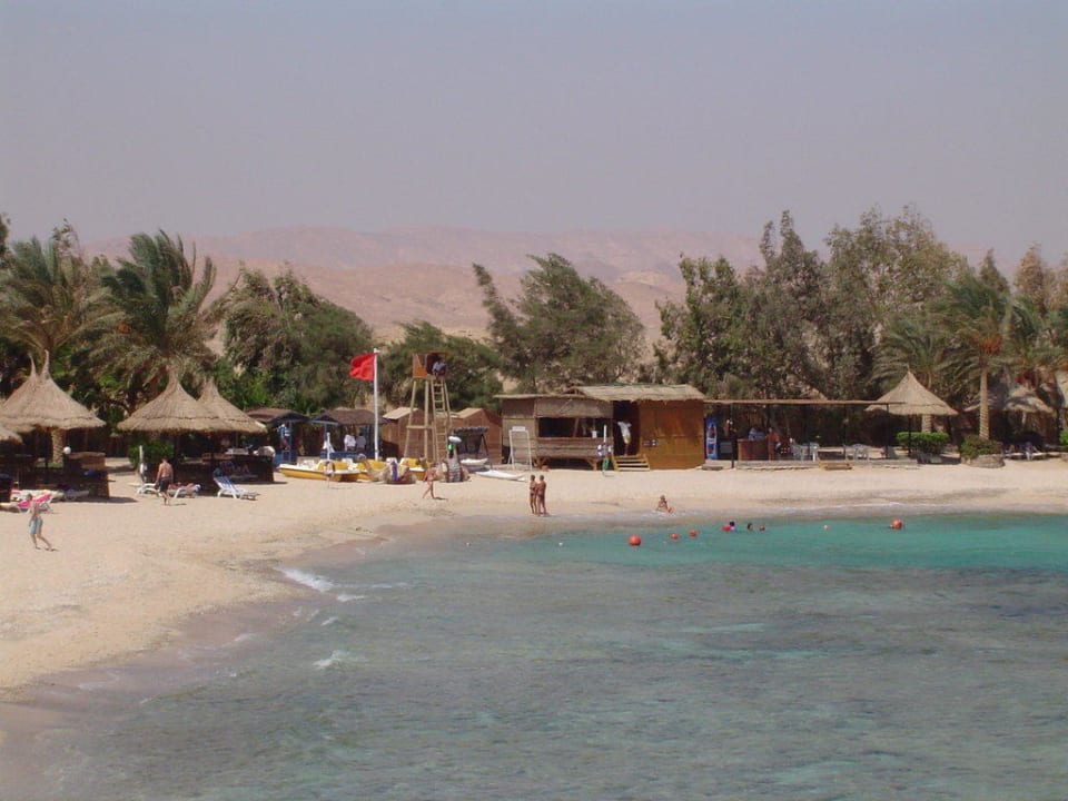 Schöner Badestrand mit Riff Mövenpick Resort El Quseir