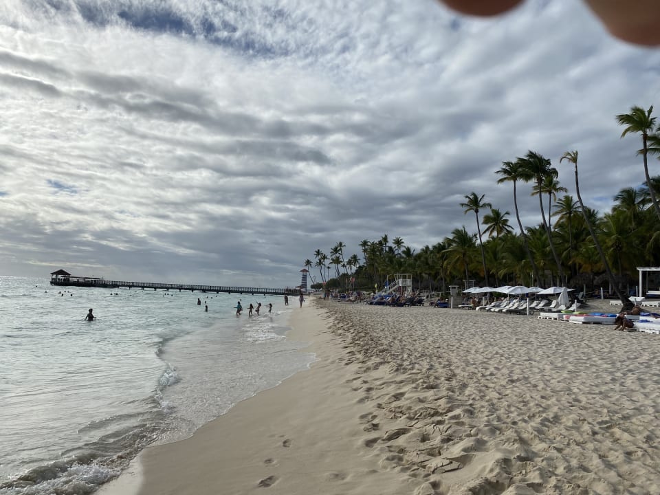 Strand Catalonia Royal La Romana - Adults only