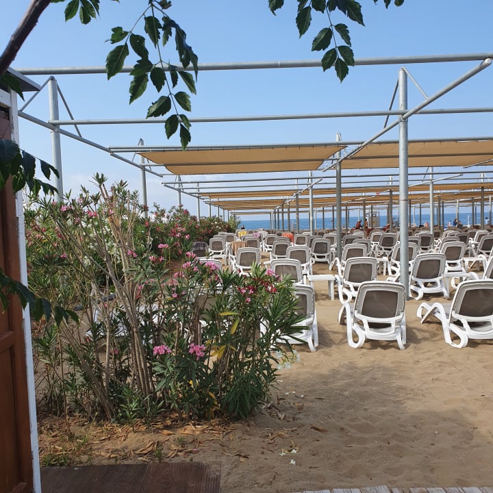 Strand Dream World Aqua Hotel