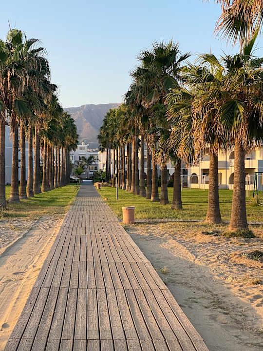 Gartenanlage Delfina Tropic Beach