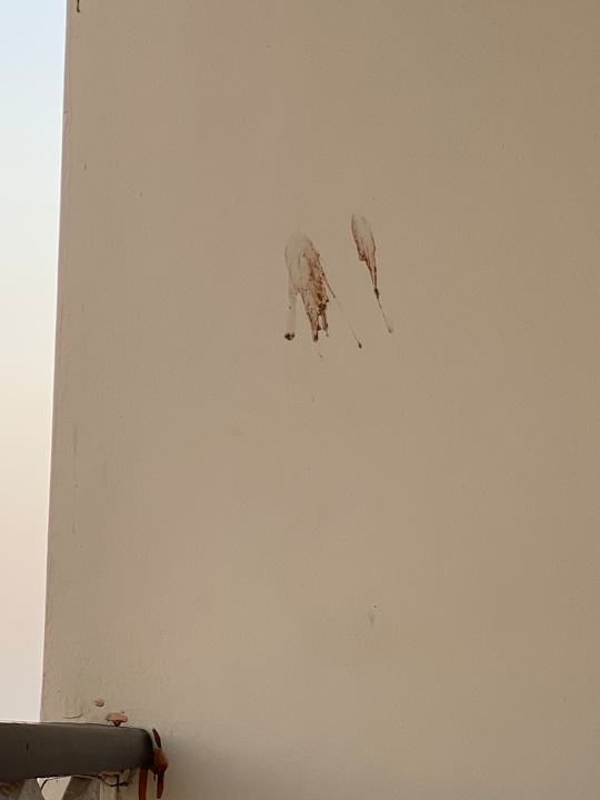 Zimmer Royal Star Beach Resort