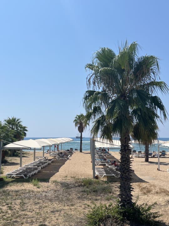 Strand ROBINSON PAMFILYA