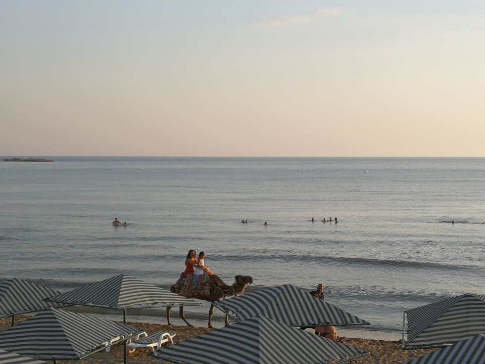 Strand Aska Hotel Just in Beach