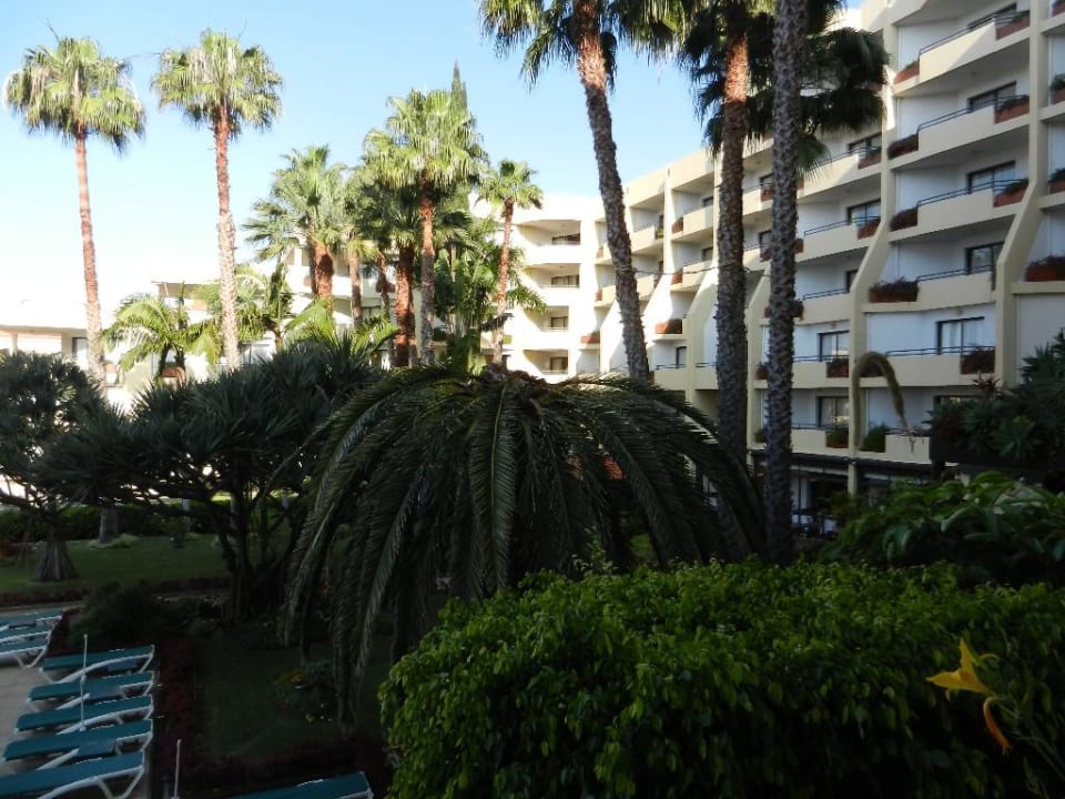 Alle Zimmer mit Meeresblick Suite Hotel Eden Mar - PortoBay