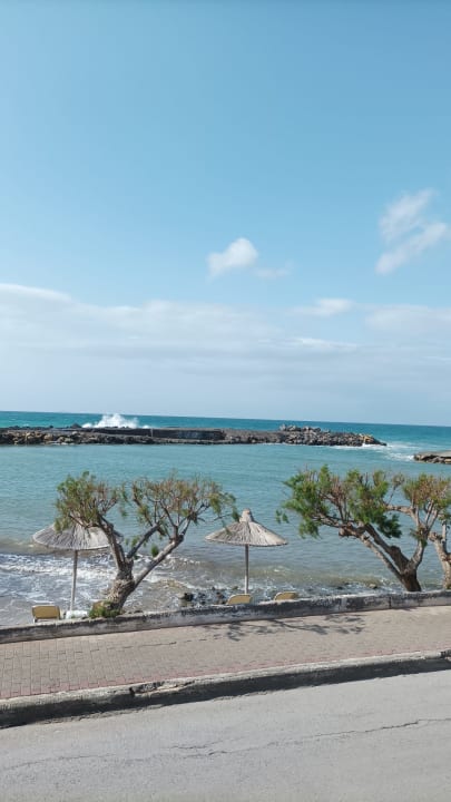 Ausblick Hotel Aphrodite Beach Club
