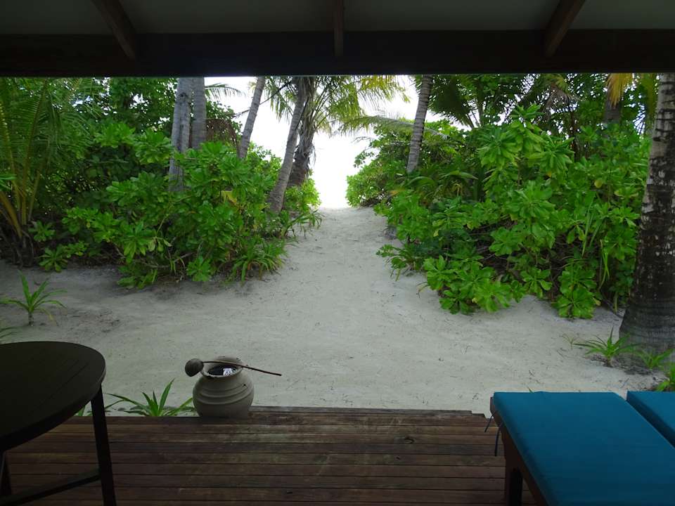 Zimmer Canareef Resort Maldives