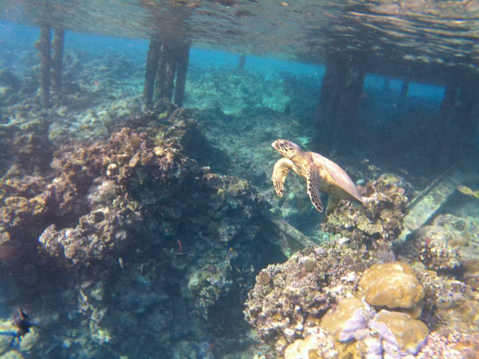 Strand Casa Mare Resort