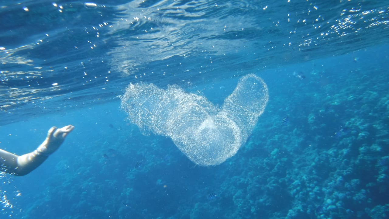 Sport & Freizeit Malikia Resort Abu Dabbab