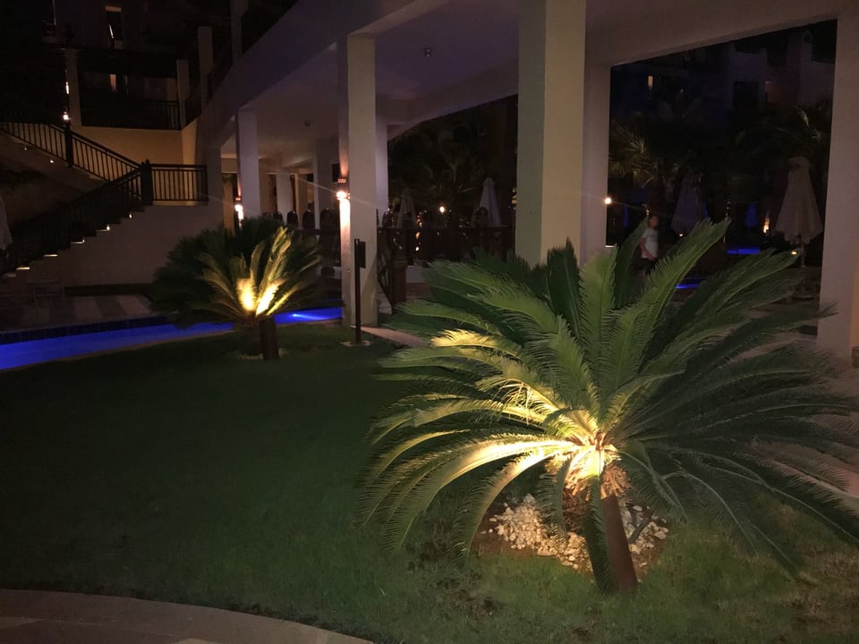 Ausblick Steigenberger Aqua Magic