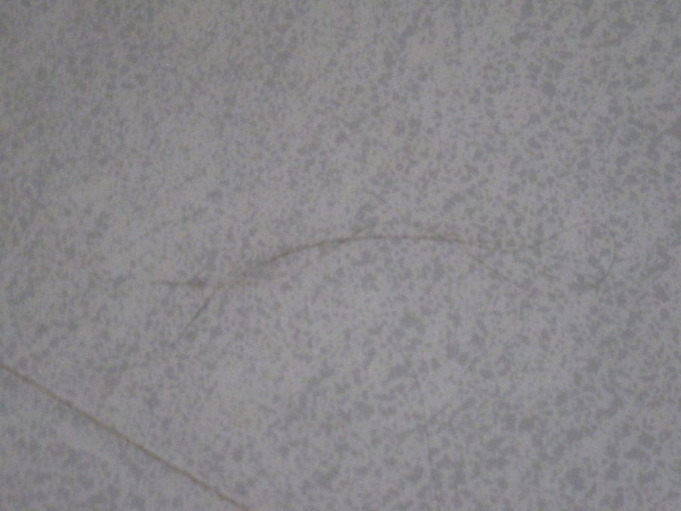 Haare im Zimmer Calimera Yati Beach