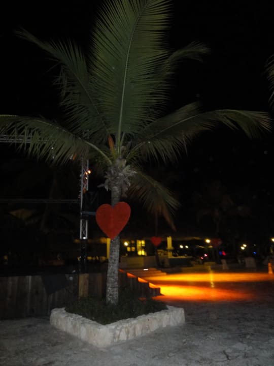 Romantik Abend Dreams La Romana Resort & Spa