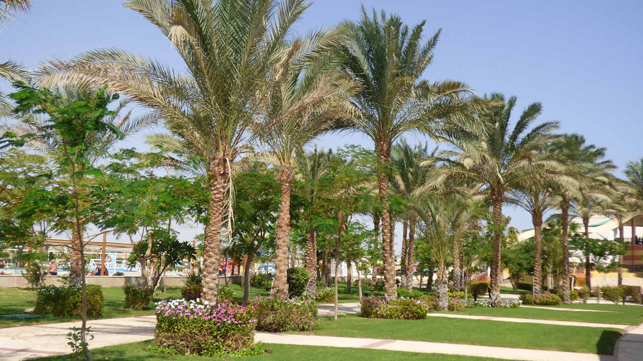 Gartenanlage Malikia Resort Abu Dabbab