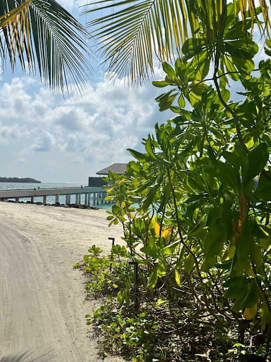 Strand Le Meridien Maldives Resort & Spa