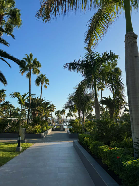 Gartenanlage Hotel Riu Gran Canaria