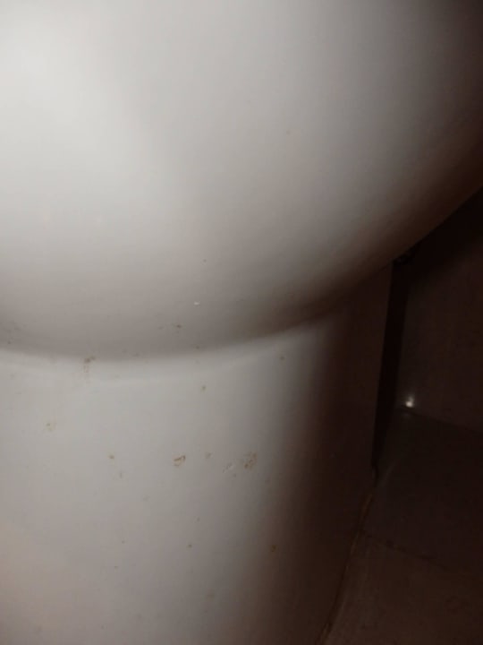 9 Tage am Bidet...pfui Teufel. Aparthotel Ciudad Laurel