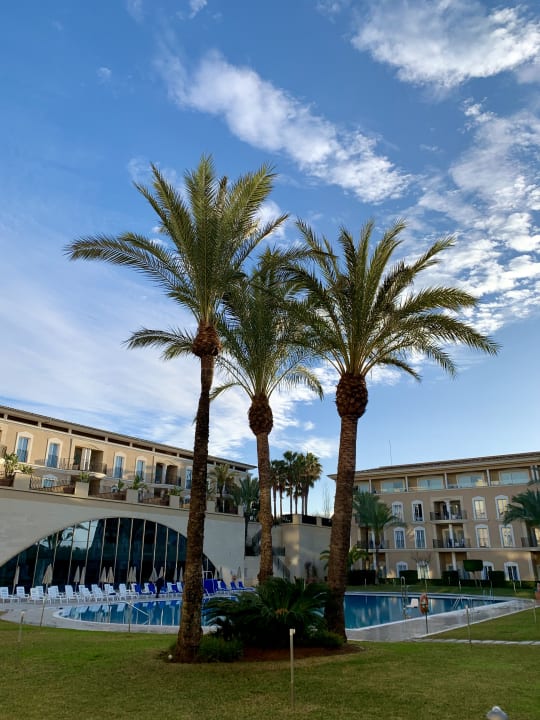 Pool Grupotel Playa de Palma Suites & Spa